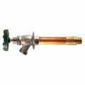 Tooltime 466-12LF 12 in. Frost-Free Hydrant With Vacuum Breaker TO962269